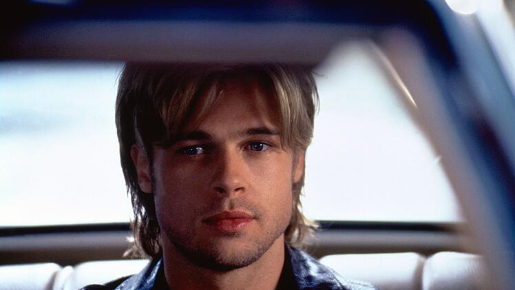 Der sympathische irische Landsmann Francis (Brad Pitt) entpuppt sich als Terrorist, der mit seinen Waffengesch&auml;ften auch seine Gastgeber in Gefahr bringt.