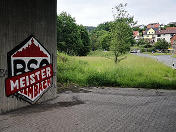Dran lassen oder abkratzen - das BSC-Graffito am Kauernburger Brückenpfeiler. Foto: A. Zeitler