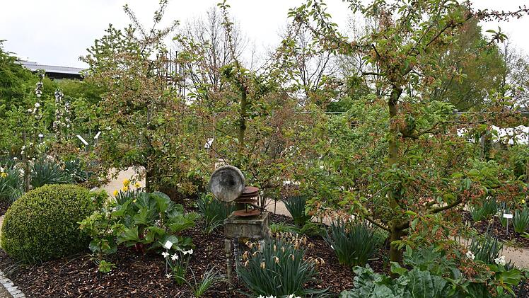 In diesem Garten lohnt es sich, genau hinzusehen. Foto: Ronald Rinklef