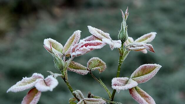 Der Herbst kommt langsam in Franken