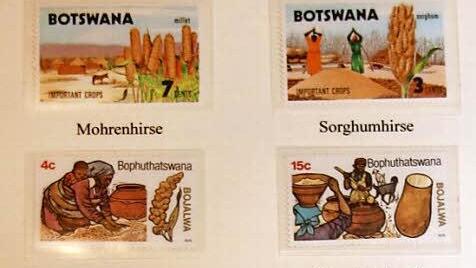 Stücke aus der ganzen Welt hat Scholz in seiner philatelistischen Sammlung "Die Biografie des Bieres" zusammengestellt. Hier sind Briefmarken zur Bierherstellung aus Hirse in Botswana zu sehen.
