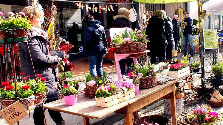 Ein bunter Farbtupfer beim Sander Korb- und Weinmarkt waren die Blumen und Frühjahrsblüher.