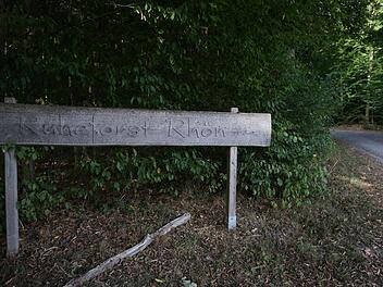 Im Ruheforst darf künftig nur noch auf dem Kiefern- und Fichtenweg geritten werden. Foto: Marion Eckert