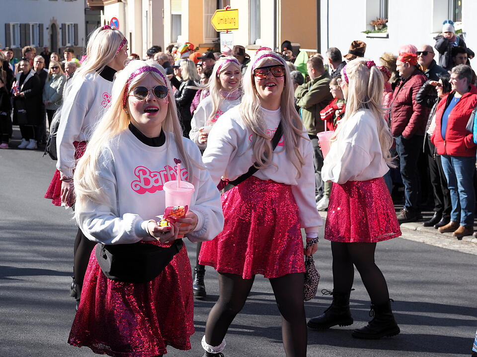 Buntes Faschingstreiben in Unterfranken!