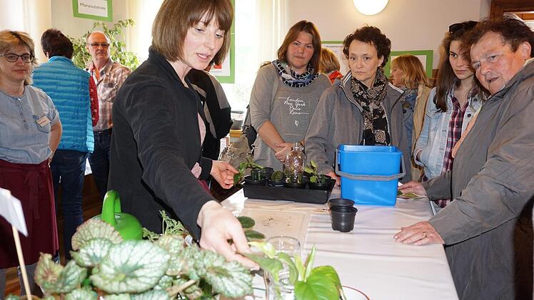 Tipps zur Vermehrung von Zimmerpflanzen gab es beim Tag der offenen Tür in Bischofsheim ebenfalls.  Foto: Marion Eckert