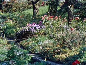Zurück zur Natur: Dieser farbenprächtige Staudengarten, fotografiert im Jahr 2000 in Wernstein, ist schön anzuschauen und bietet vielfältige Lebensräume.