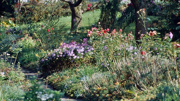 Zurück zur Natur: Dieser farbenprächtige Staudengarten, fotografiert im Jahr 2000 in Wernstein, ist schön anzuschauen und bietet vielfältige Lebensräume.