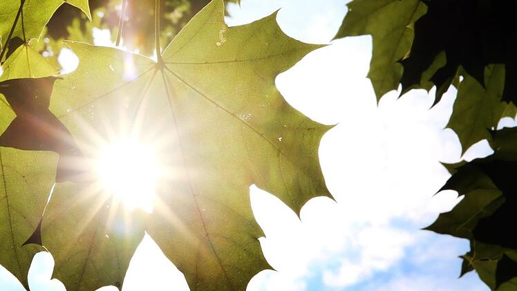 Das Wetter in Franken und Deutschland: Am Sonntag bis zu 27 Grad - dann folgt der Temperatursturz. Foto: Martin Gerten/dpa