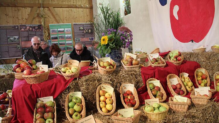 Fester Bestandteil des Obstmarktes in Romansthal,  die Apfelausstellung