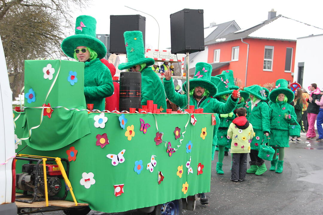 Faschingsumzug in Oberhaid