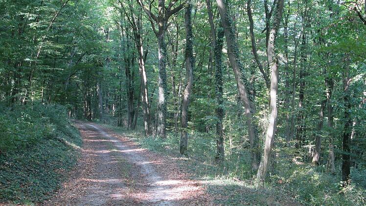 In Verlängerung der Ortsstraße "An der Trie" soll am Mühlberg der Fuchsstädter Naturfriedhof entstehen.  Winfried Ehling