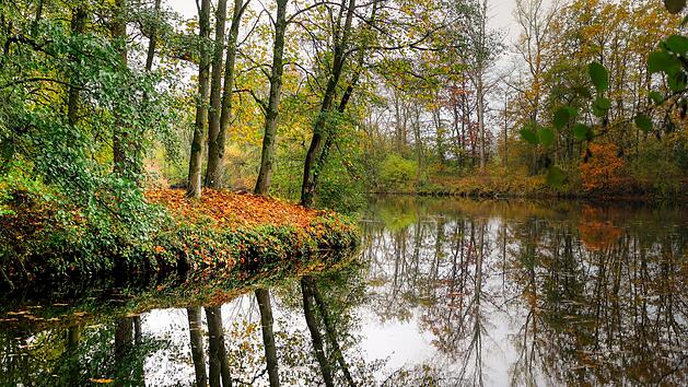 Heiz&ouml;l l&auml;uft in oberfr&auml;nkischen Weiher - Kellersanierung geht geh&ouml;rig schief