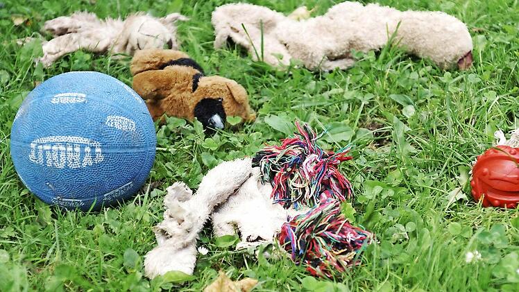 Für alle Vorlieben gibt es das passende Spielzeug.