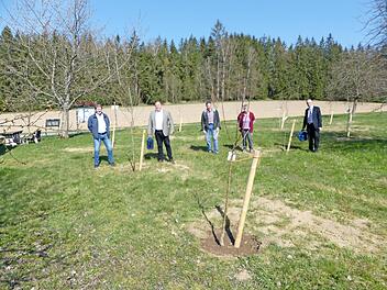 Gemeinsam gossen (von links) Heinrich Weiß, Werner Burger, Ivan Arseney, Ingrid Tittel und Franz Uome die neugepflanzten Obstbäume an.