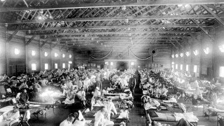 Vor 100 Jahren starben bis 50 Millionen Menschen an der "Spanischen Grippe". Foto: National Museum of Health and Medicine/dpa