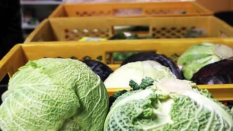 Das Angebot an Obst und Gemüse wechselt wöchentlich.  Heute stehen Wirsing, Weiß- und Blaukraut auf dem Speiseplan. Fotos: Katja Kölbl