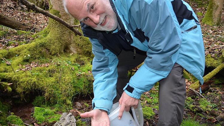 Auf dem Weg in ein neues Zuhause: Vorsichtig nimmt Hans-Georg Mommsen die Salamander aus dem Eimer und setzt sie um.  Foto: Kathrin Kupka-Hahn