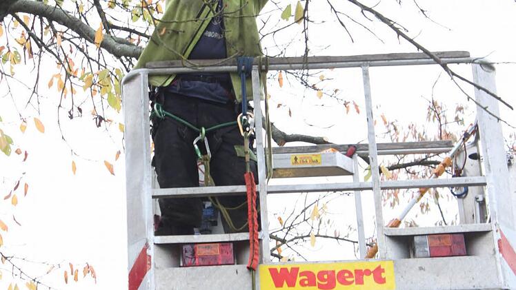 Tino Motschmann im Einsatz Foto: Popp