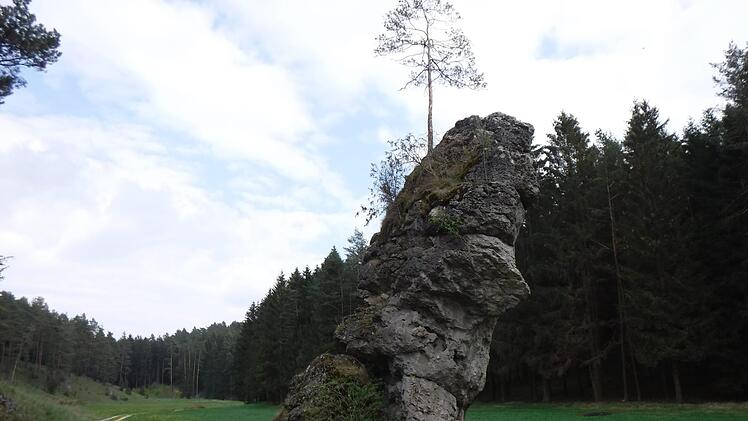 Das Trockental mit dem Spitzenstein bei Kleinziegenfeld ist ein malerischer Ort.  Foto: Otto Degen