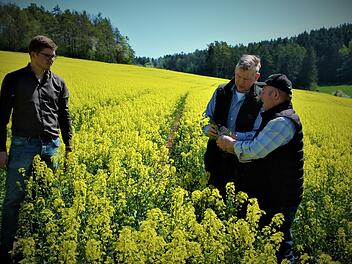 Wenn in den nächsten vier Wochen keine nennenswerten Niederschläge kommen, erwartet BBV-Kreisobmann Wilfried Löwinger (rechts) einen Minderertrag beim Raps von mindestens 50 Prozent. Mit im Bild Tobias Wunner und Klaus Siegelin von der Erzeugergemeinschaft für Qualitätsraps. Foto: Werner Reißaus