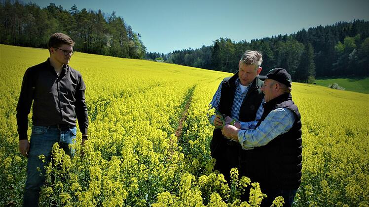 Wenn in den nächsten vier Wochen keine nennenswerten Niederschläge kommen, erwartet BBV-Kreisobmann Wilfried Löwinger (rechts) einen Minderertrag beim Raps von mindestens 50 Prozent. Mit im Bild Tobias Wunner und Klaus Siegelin von der Erzeugergemeinschaft für Qualitätsraps. Foto: Werner Reißaus