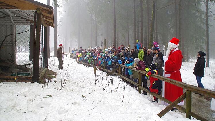 Wildpark Mehlmeisel: Mit Weihnachtsmann und Wildtierf&uuml;tterung - "Warten aufs Christkind verk&uuml;rzen"