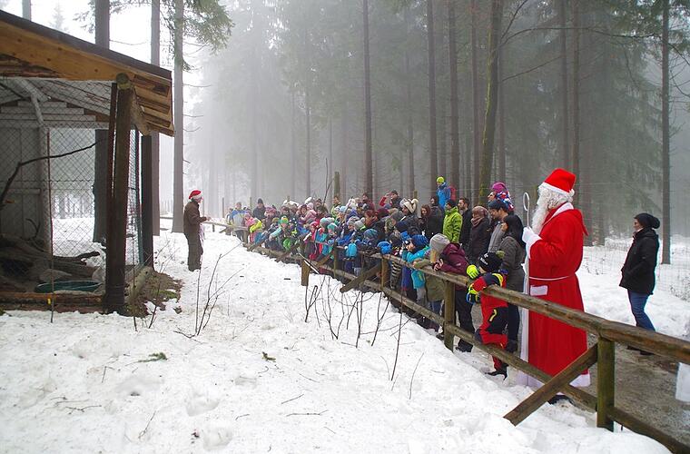 Wildpark Mehlmeisel: Mit Weihnachtsmann und Wildtierfütterung - "Warten aufs Christkind verkürzen"