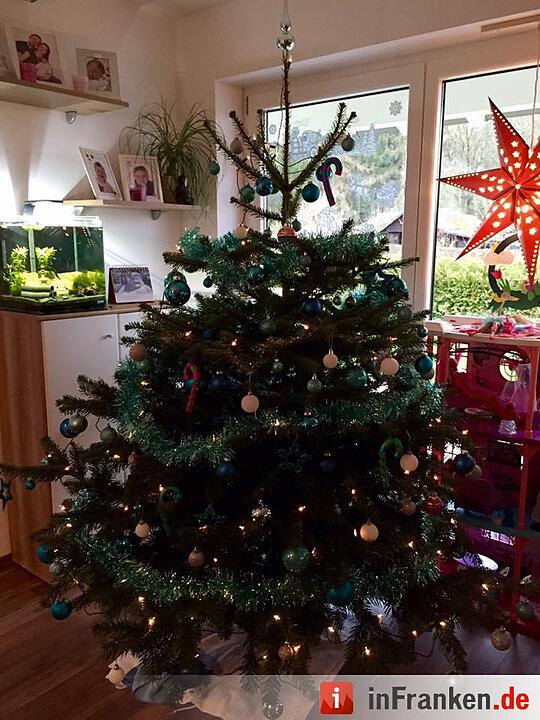 Weihnachten in Franken: Die Christbäume unserer Leser