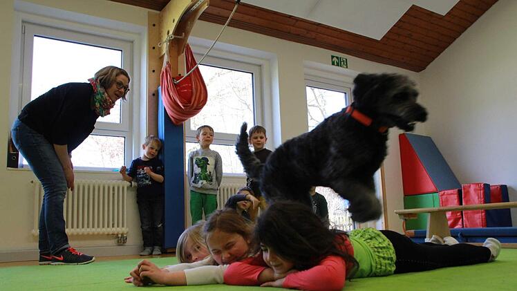 Sie sind Vermittler, Kindergärtner und Therapeuten: Kissinger Kindergärten und eine Klinik setzen auf Hunde, weil die anders arbeiten als ihre menschlichen Kollegen. Foto: Carmen Schmitt