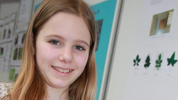Alina Ehrle aus Coburg und ihr Team haben sich mit dem Fressverhalten von Gespenstheuschrecken beschäftigt.