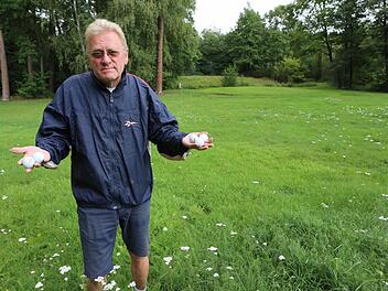 Erst mal nichts mehr mit Golf-Spielen in Bamberg: Golfclub-Präsident Klaus Dirks steht im hohen Gras der Anlage. Fotos: Barbara Herbst