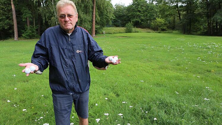 Erst mal nichts mehr mit Golf-Spielen in Bamberg: Golfclub-Präsident Klaus Dirks steht im hohen Gras der Anlage. Fotos: Barbara Herbst