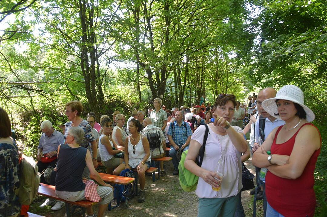 Landkreiswanderung 2017