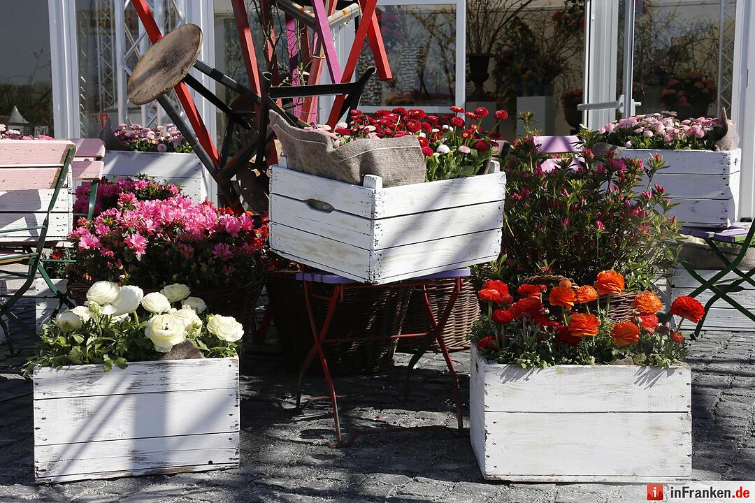 Blumen und mehr: Die Landegartenschau 2016 Bayreuth