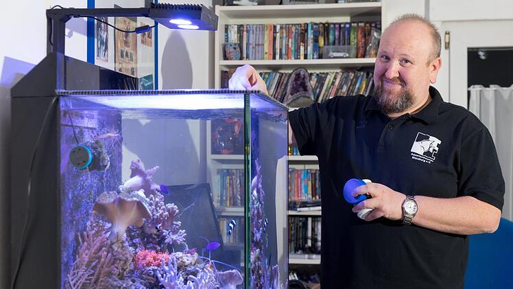 F&uuml;tterungszeit: Aquaristik-Freak Joachim Schmitt an einem seiner Becken