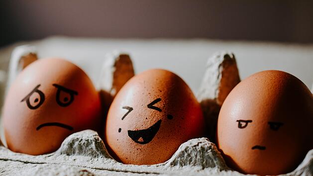 Symbolbild: Eierkarton