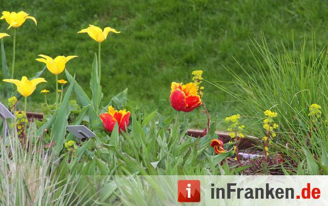 Landesgartenschau Bamberg