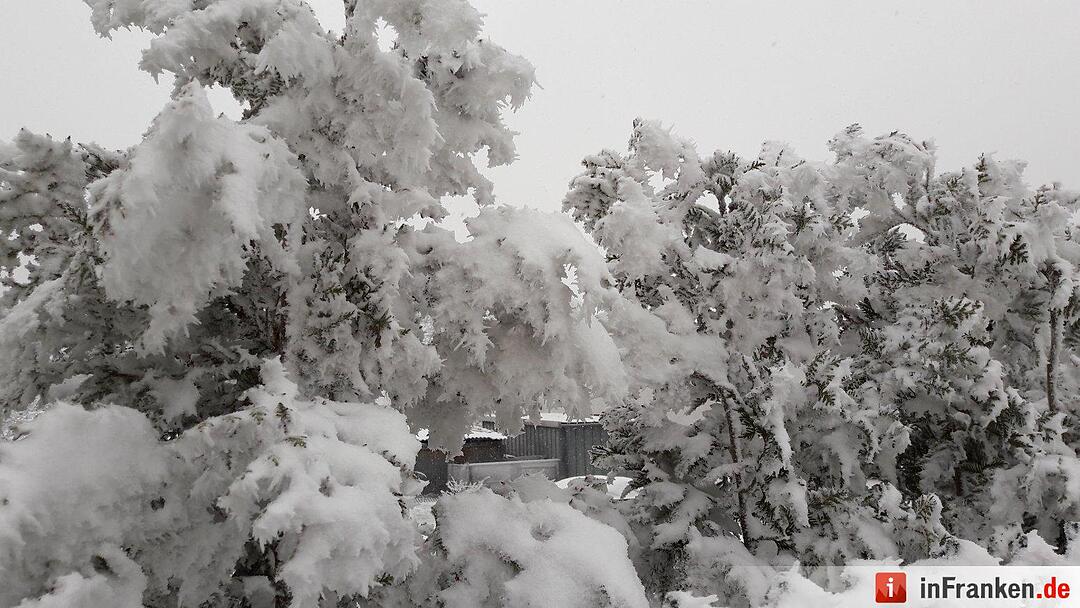 Schnee in Franken Januar 2017 - Leserfotos