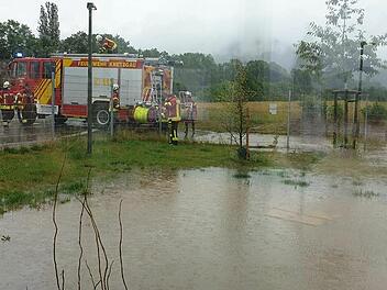 Tierheim Haßberge überschwemmt: "Eine einzige Katastrophe"