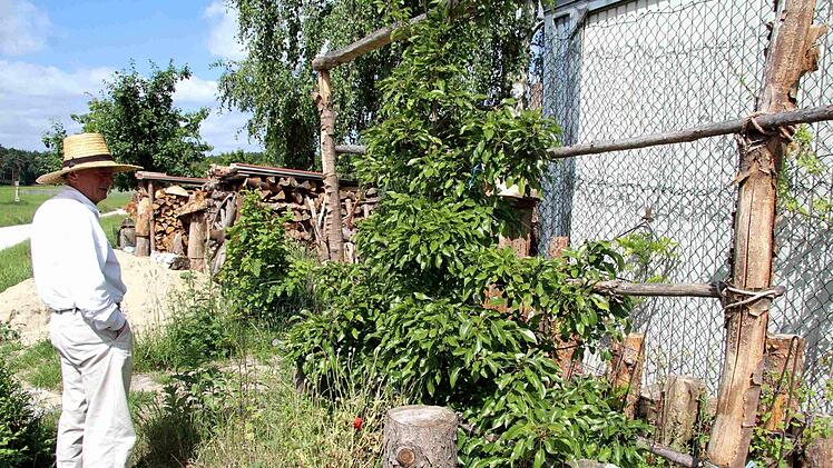 Die kleine Halle soll einwachsen