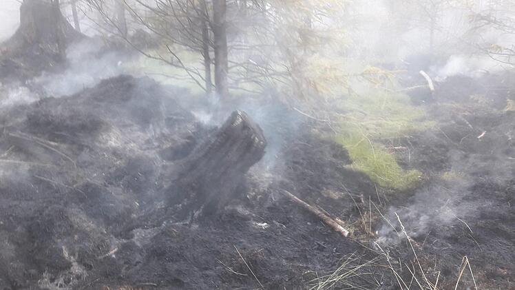 Zurück blieb im Wald am Rennsteig hauptsächlich verbrannte Erde.Veronika Schadeck