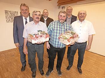 Ehrungen und Verabschiedungen beim Betriebshelferausschuss; unser Bild zeigt (von links) Landrat Klaus Peter Söllner, Manfred Knorr (30 Jahre), Geschäftsführer Harald Köppel, Roland Münch (25 Jahre), Werner Hajek und Vorsitzender Wilfried Löwinger.