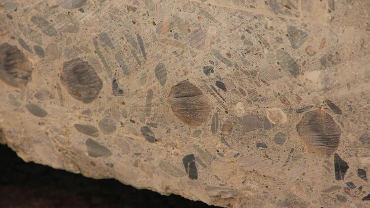 Die Oberfläche des Betons an der Sägestelle. Unten sind die Eisen zu erkennen. Foto: Simone Bastian