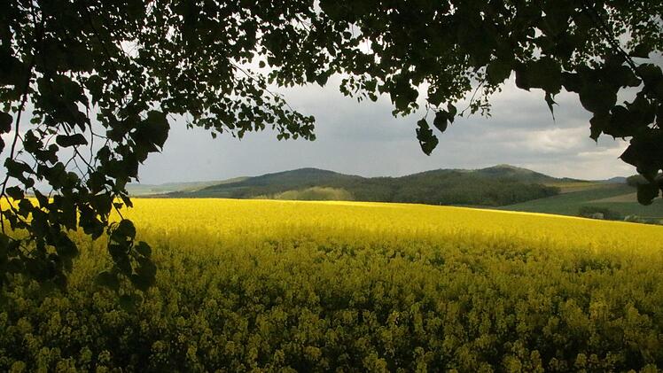 Erholsam und  zum Kraftschöpfen gut geeignet ist der Platz unter der Linde bei Erlhof mit Blick auf die Eierberge. Foto: Matthias Einwag