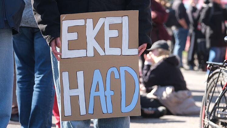 Landesparteitag AfD Sachsen-Anhalt - Proteste