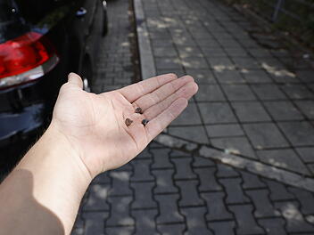 Lastwagen verliert tausende Nieten - zahlreiche geschädigte Autofahrer Lastwagen verliert tausende Nieten - zahlreiche geschädigte Autofahrer