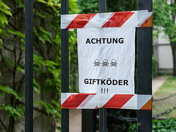 Warnung vor Giftködern