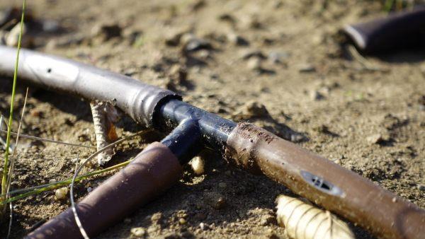 Nachhaltige Bewirtschaftung duch Tropfbewässerung: Sparsamer Wasserverbrauch und einfache Handhabung. Foto: inFranken.de