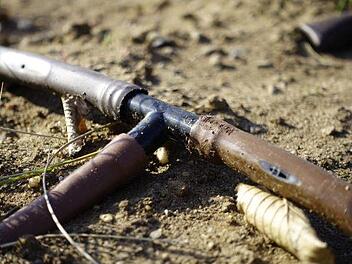 Nachhaltige Bewirtschaftung duch Tropfbewässerung: Sparsamer Wasserverbrauch und einfache Handhabung. Foto: inFranken.de