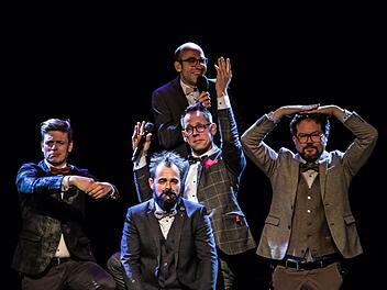 Umjubelter Auftritt: Das Quintett Viva Voce präsentierte sein Jubiläumsprogramm zum 20-jährigen Bestehen "Es lebe die Stimme" in Coburg.Foto: Jochen Berger